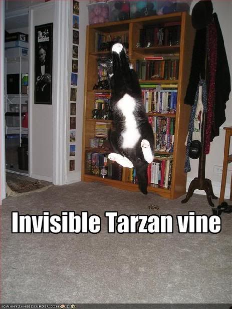 tarzan photo: Tarzan funny-pictures-cat-has-an-invisible.jpg