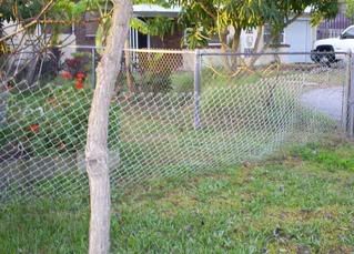 chain link fence