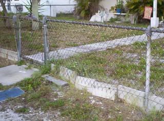 lion fence