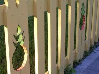 pineapple fence inside