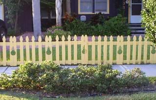 pineapple fence