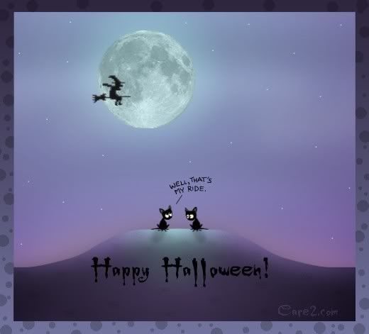 Halloween photo: halloween witchyride.jpg