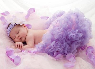 purple dreams Pictures, Images and Photos