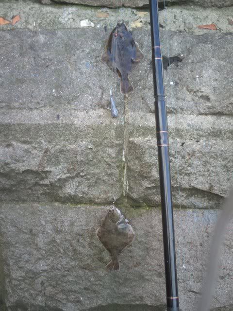 IMAG0010-1.jpg