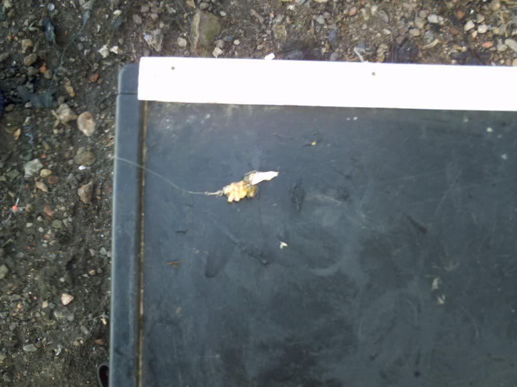 IMAG0021.jpg