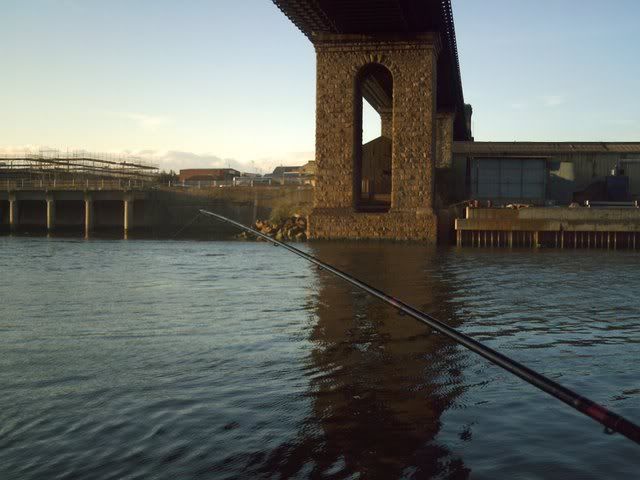 IMAG0022.jpg