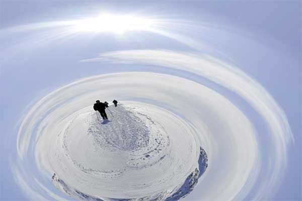 fauxpole600.jpg picture by virtuellife