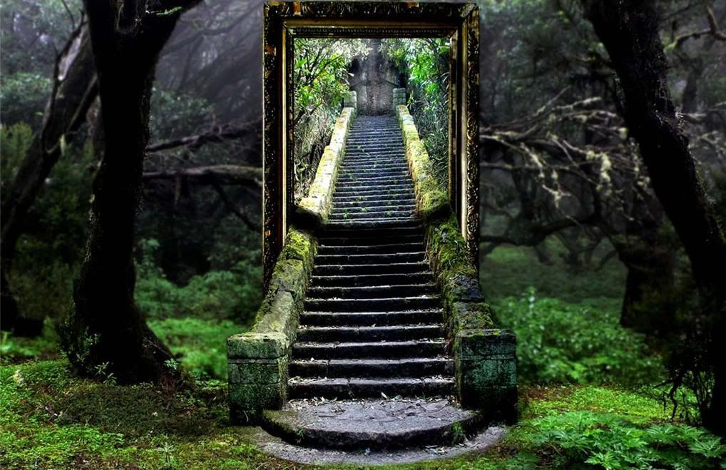 890584_1d75_1024x2000.jpg picture by virtuellife