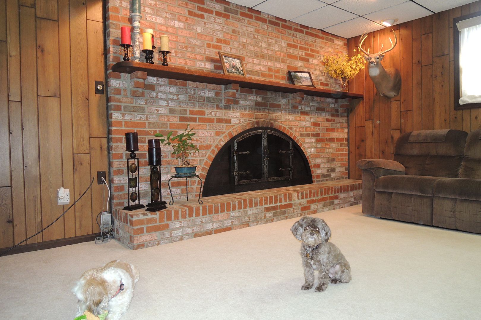 Pretty Fireplace with Gas Insert in La Plata MD Home for Sale.  Real Estate Sales by Realtor, Marie Lally, of O'Brien Realty of Southern Maryland
