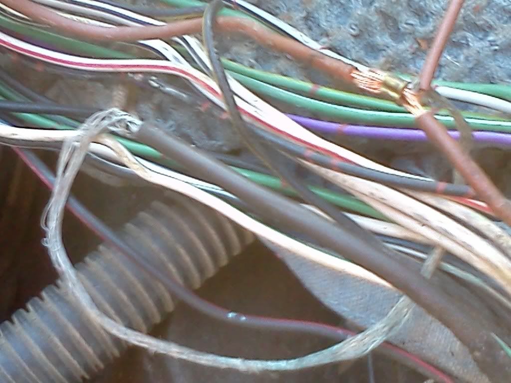 Suzuki Access 125 User Wiring Harness
