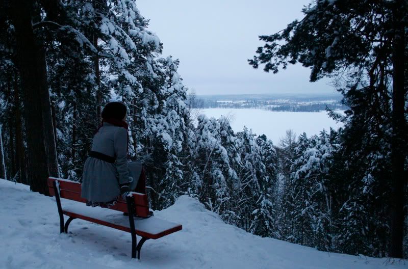 2helmikuu102.jpg picture by blogivarikasta
