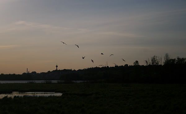 557_-1.jpg