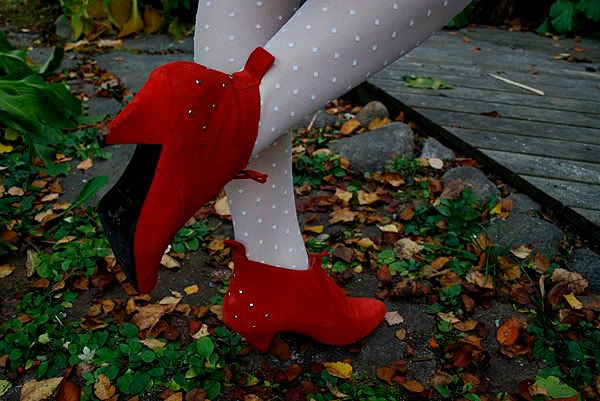 5596_.jpg picture by blogivarikasta