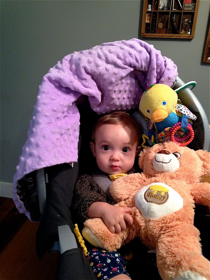 photo IMG_3155_zpsqw6r6caj.jpg