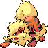 Arcanine.gif