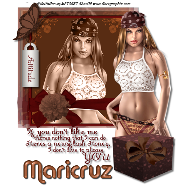 AttitudeMARICRUZ.png picture by mariposa955