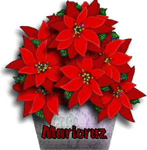 flormaricruz.gif picture by mariposa955