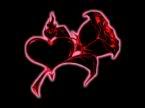 neon pink outlined red rose & heart Pictures, Images and Photos