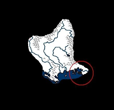 asconii.jpg