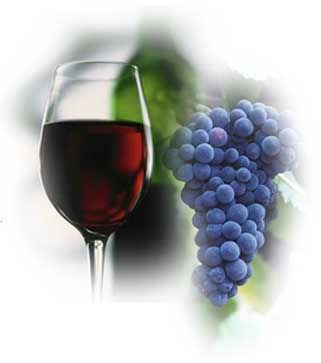 summer wine photo: wine_002 grapes_and_redwine2007.jpg