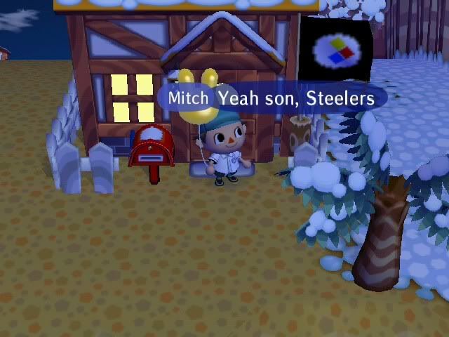 Steelers001.jpg