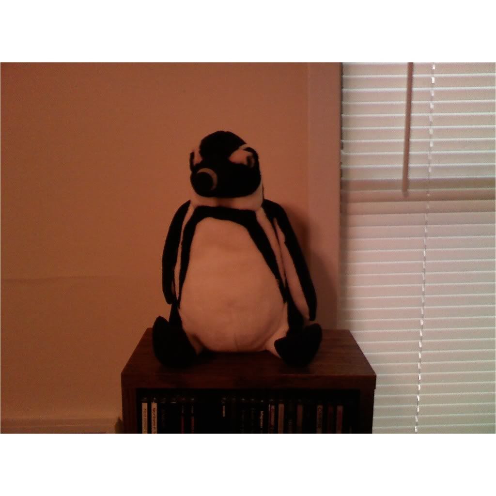 Forum Image: http://i391.photobucket.com/albums/oo358/Fiery_penguin_of_doom/Ted.jpg