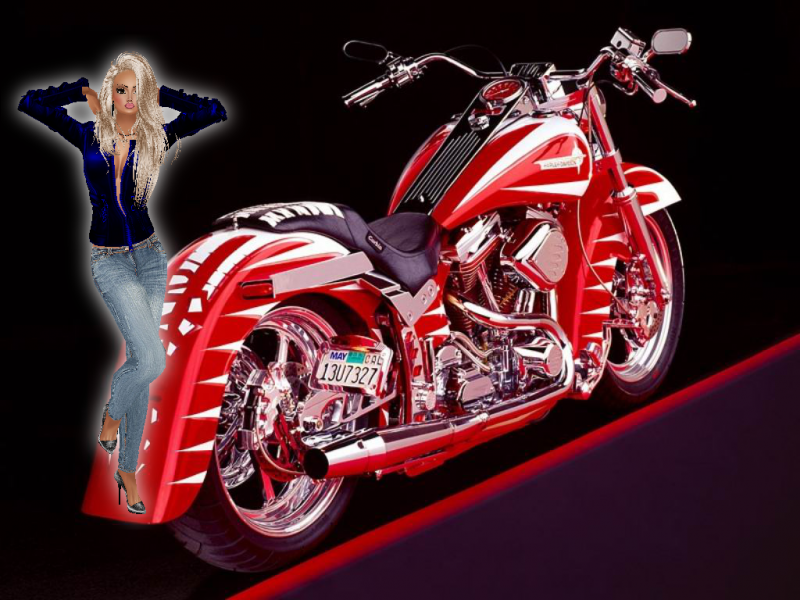 photo harley-davidson-custom-1995-motorcycles-5_zps418265d9.png