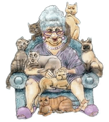 Cats_old_lady.gif