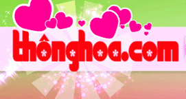 thonghoa.com nha cung cap the internet chuyen nghiep