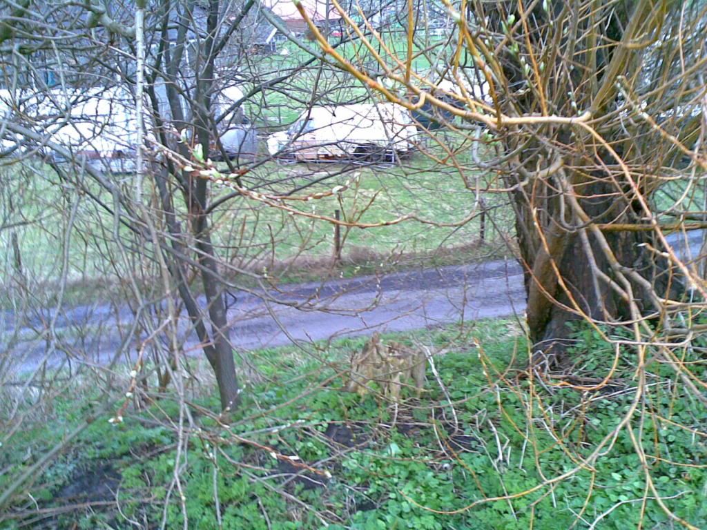 30032010.jpg