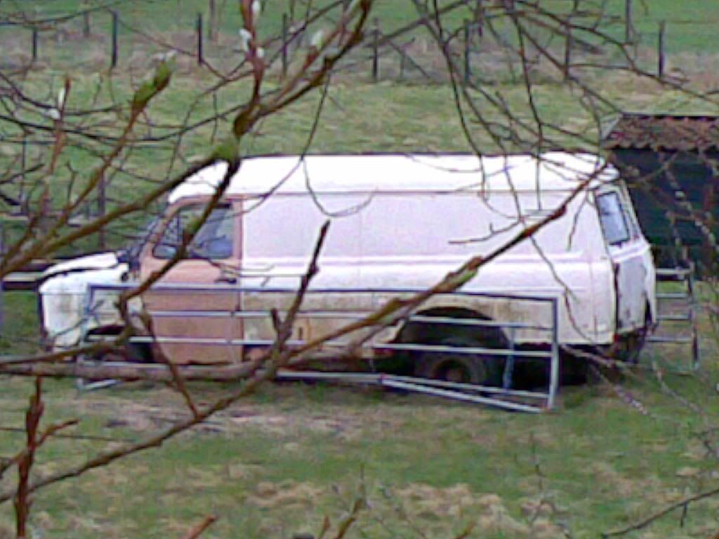 30032010001.jpg
