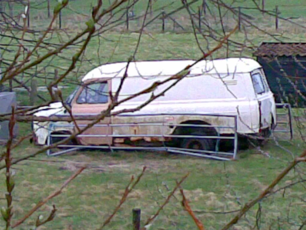 30032010002.jpg