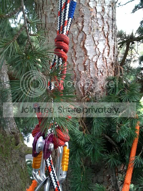 Another retired blakes hitch! | Arborist, Chainsaw & Tree Work Forum