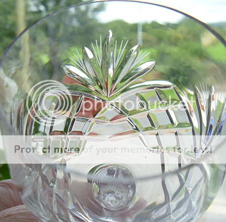 European Crystal 6 Port Sherry Feather Fan Cut Glasses